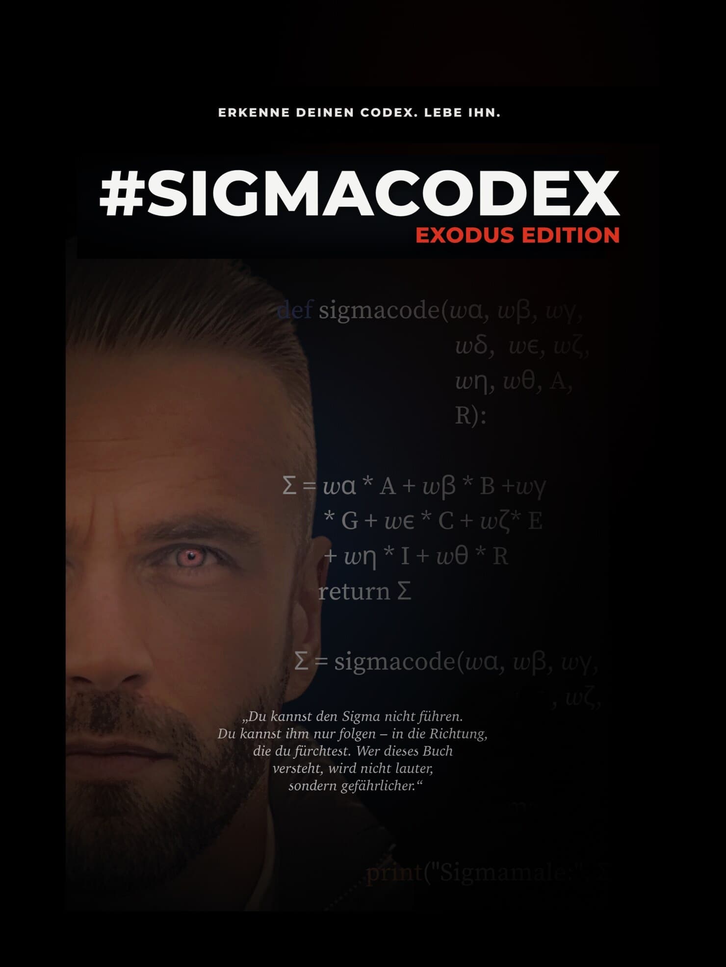 #SIGMACODE Coverpaar für Hacker Mindset und Systemdenken