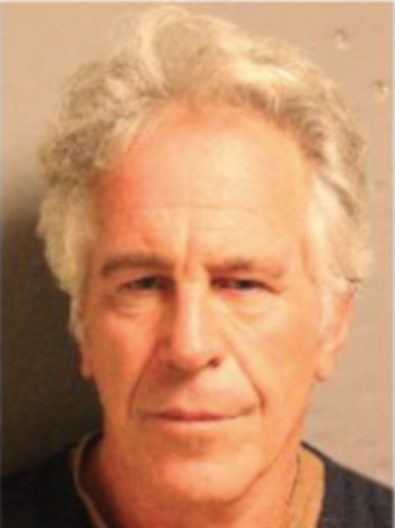 Jeffrey Epstein's final mugshot before his death