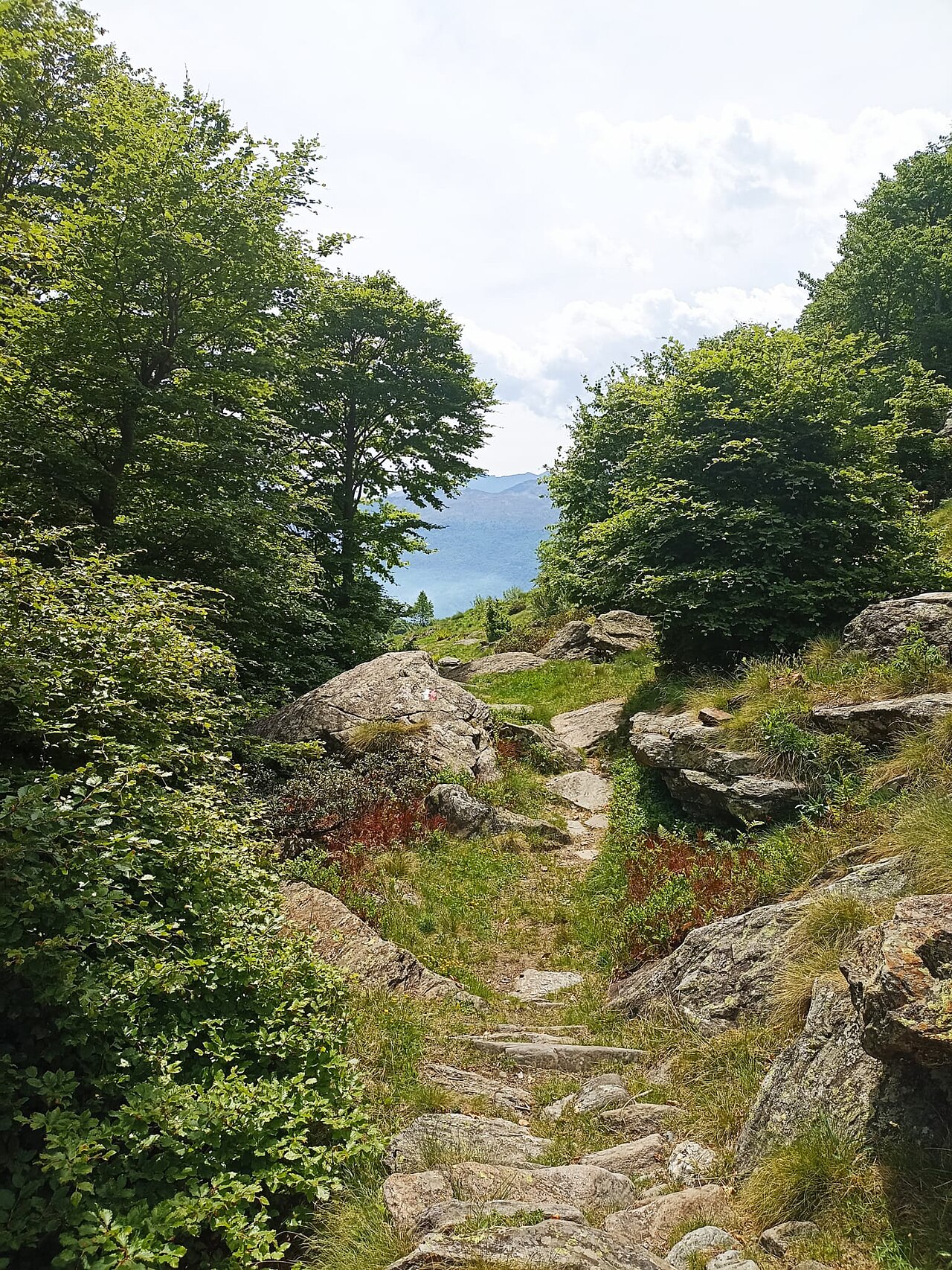 Picture of a mountain path in Lombardy (Italy). The image was taken close to Dosso del Liro (CO) in May 2022.