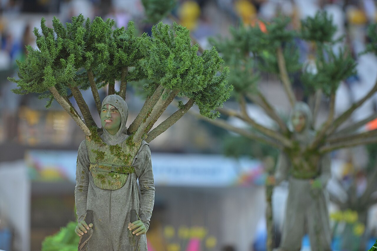 The opening ceremony of the FIFA World Cup 2014